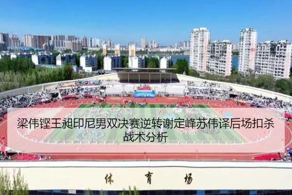梁伟铿王昶印尼男双决赛逆转谢定峰苏伟译后场扣杀战术分析